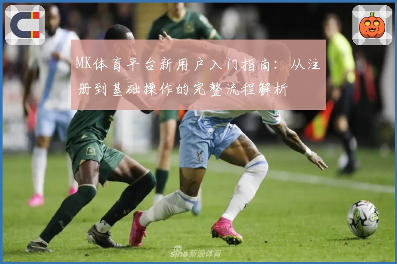 MK体育平台新用户入门指南：从注册到基础操作的完整流程解析
